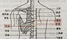 拔罐怎么拔视频教程,视频教程详解